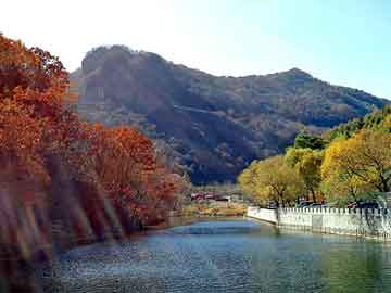 最新安卓qq流量